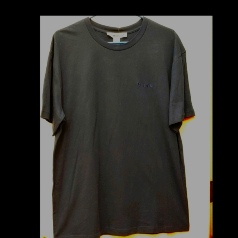 T25231 NWT Carnival Navy Cruise Line Tee